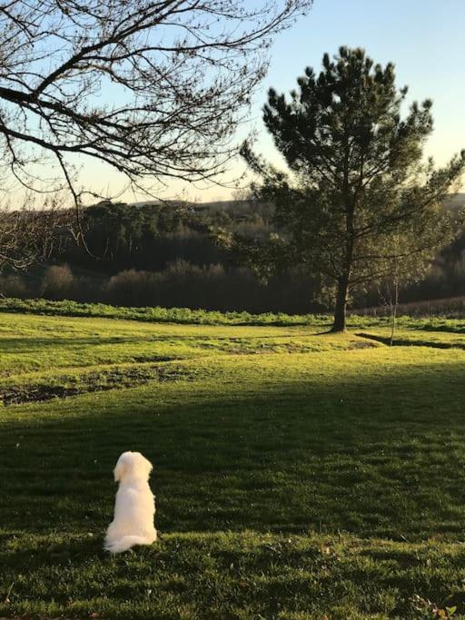 Le Nid Du Vallon Pomport Dış mekan fotoğraf